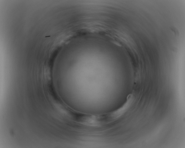 X0000115590182200911101246