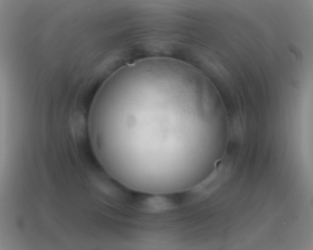 X0000115590183200911101246