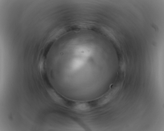 X0000115590185200911101246