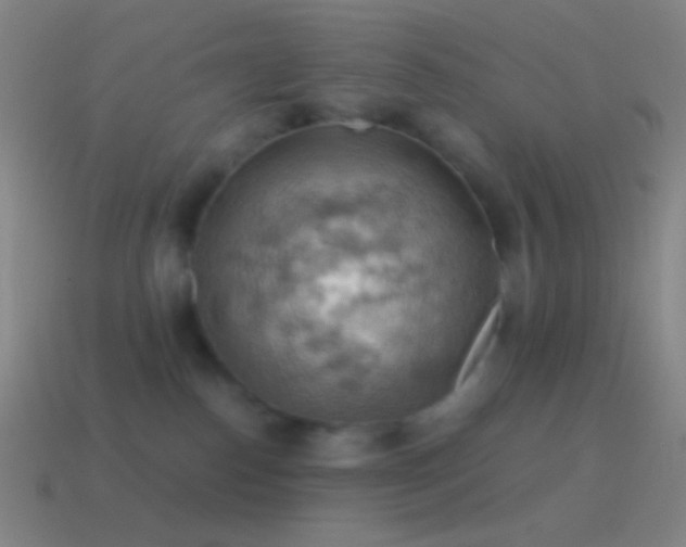 X0000115590186200911101246
