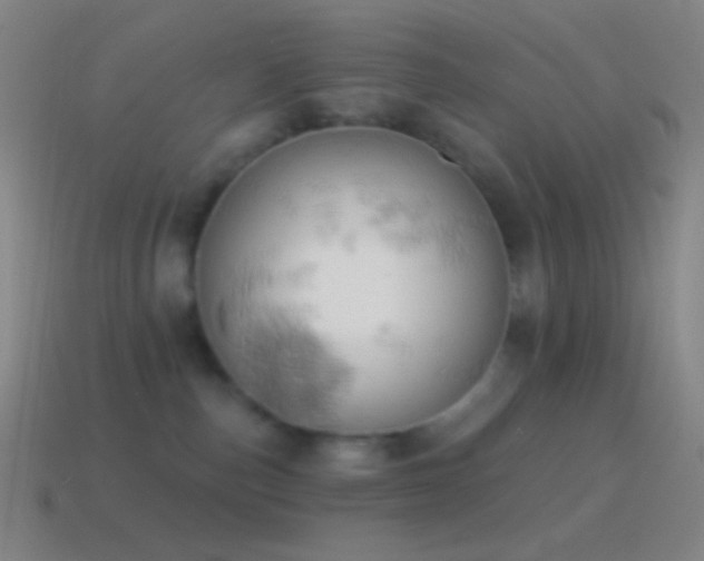 X0000115590187200911101246