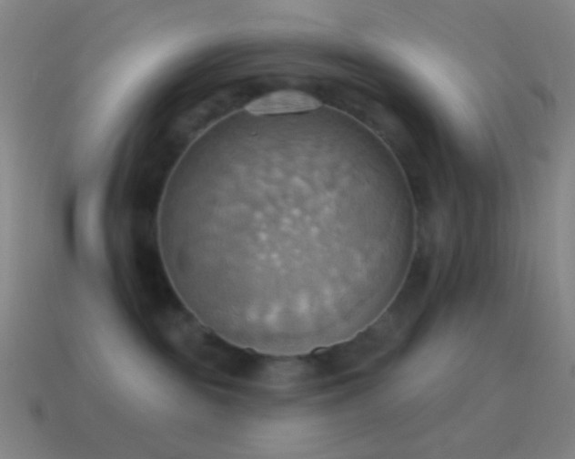 X0000115590189200911101246