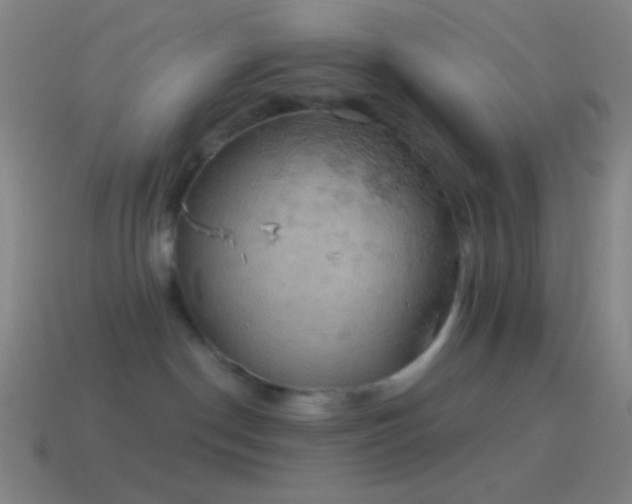 X0000115590190200911101246