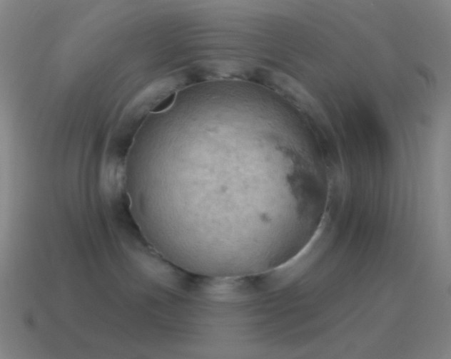 X0000115590191200911101246