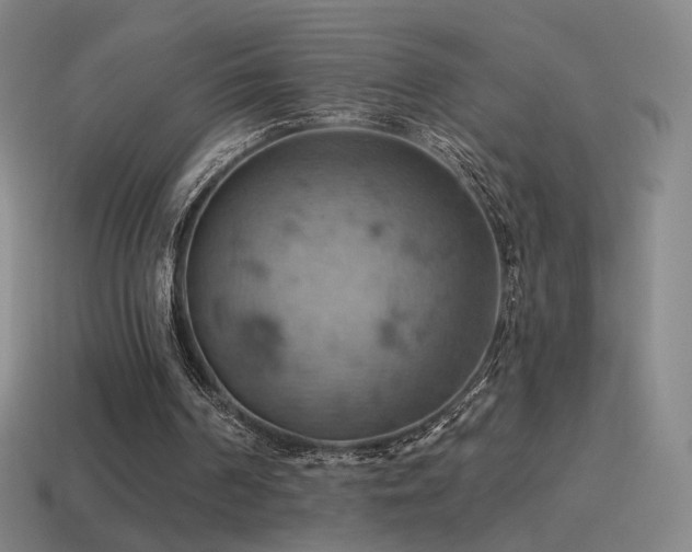 X0000115590194200911101245