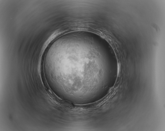 X0000115590195200911101245