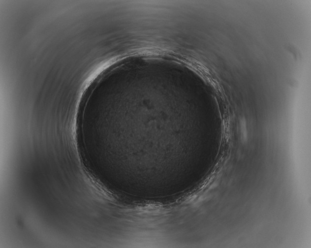 X0000115590196200911101245