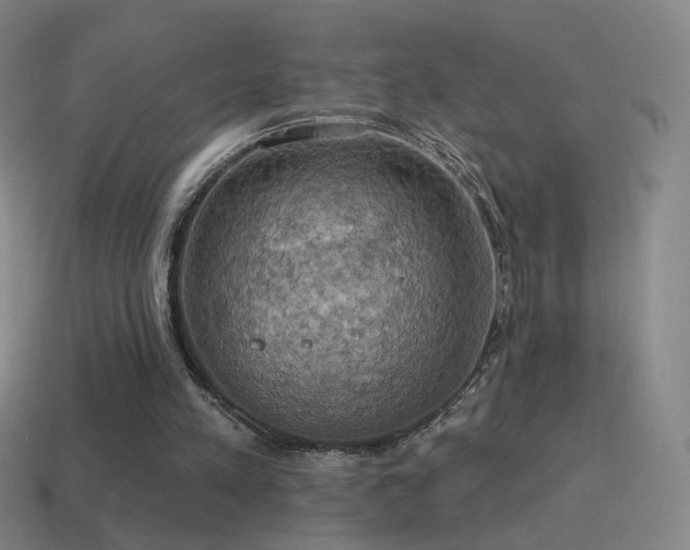 X0000115590197200911101245