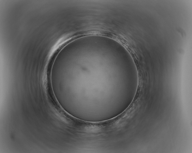 X0000115590198200911101245