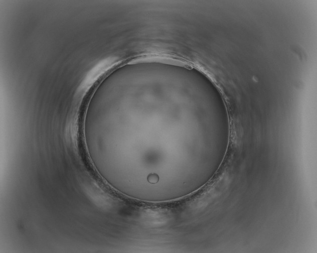X0000115590199200911101245