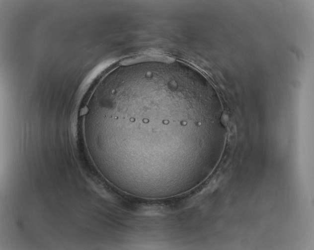 X0000115590200200911101245