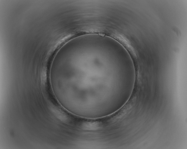 X0000115590202200911101245