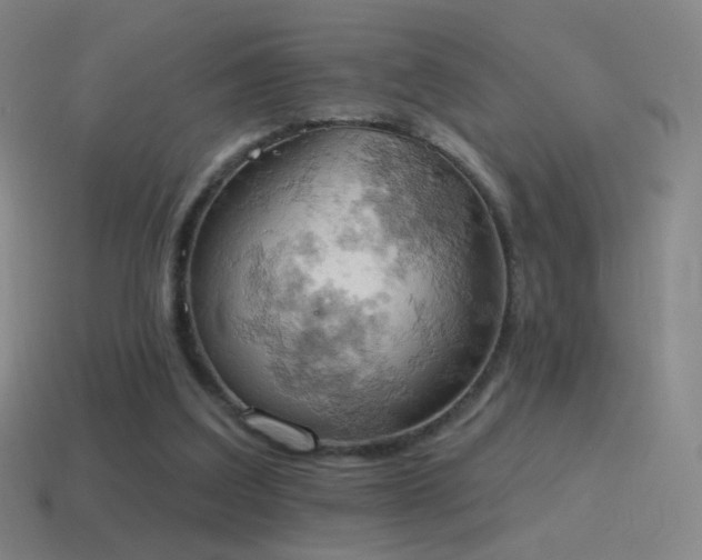 X0000115590203200911101245