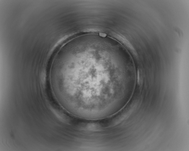 X0000115590204200911101245