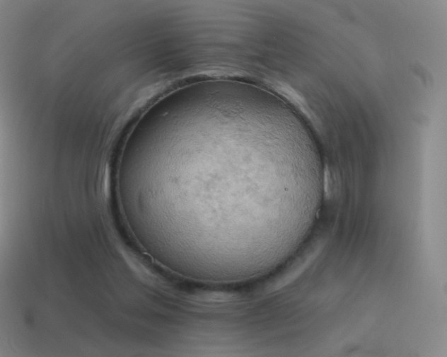 X0000115590205200911101245