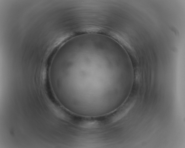 X0000115590206200911101245