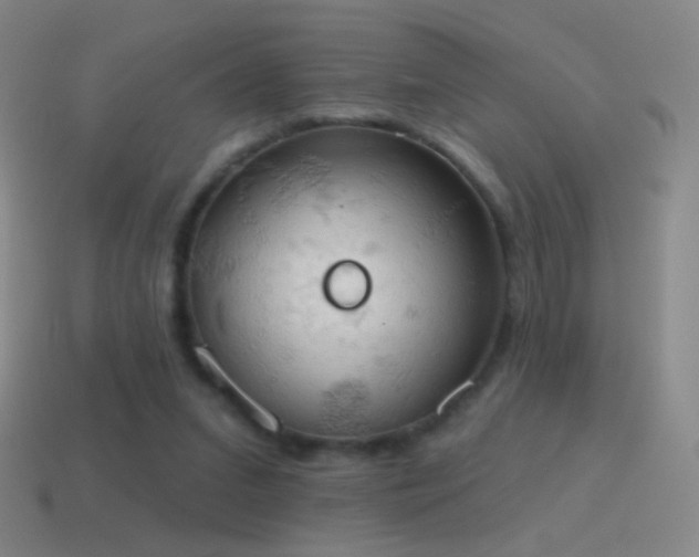 X0000115590207200911101245
