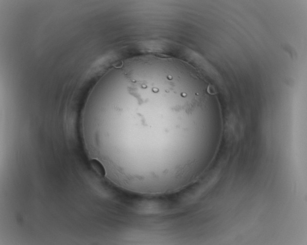 X0000115590209200911101245