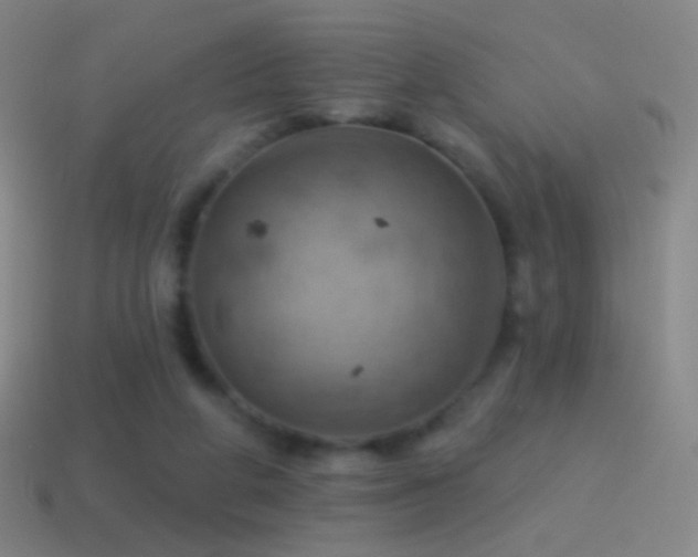 X0000115590210200911101245