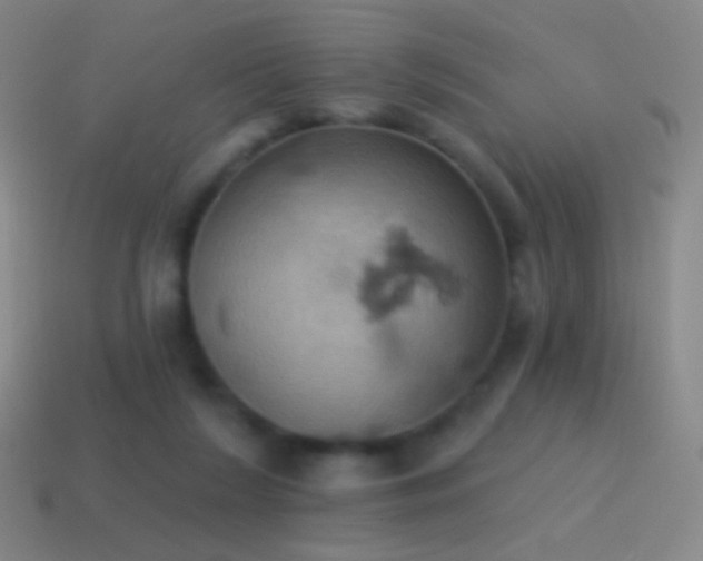 X0000115590212200911101245
