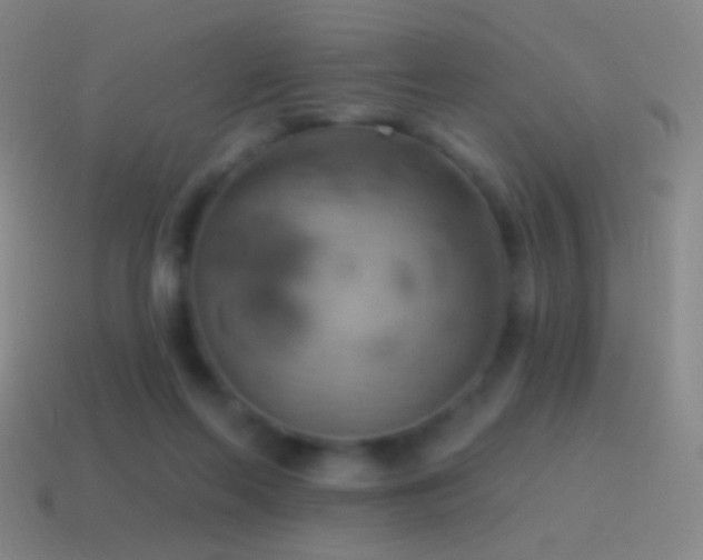 X0000115590214200911101245