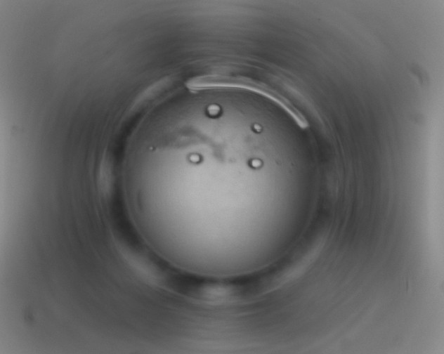 X0000115590216200911101245