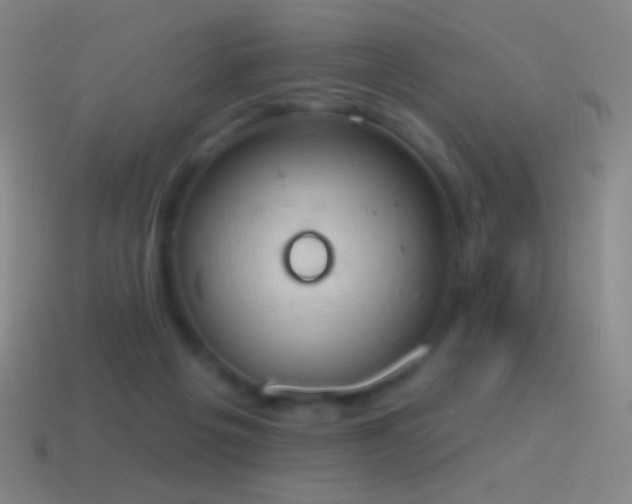 X0000115590217200911101245