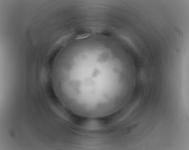 X0000115590218200911101245