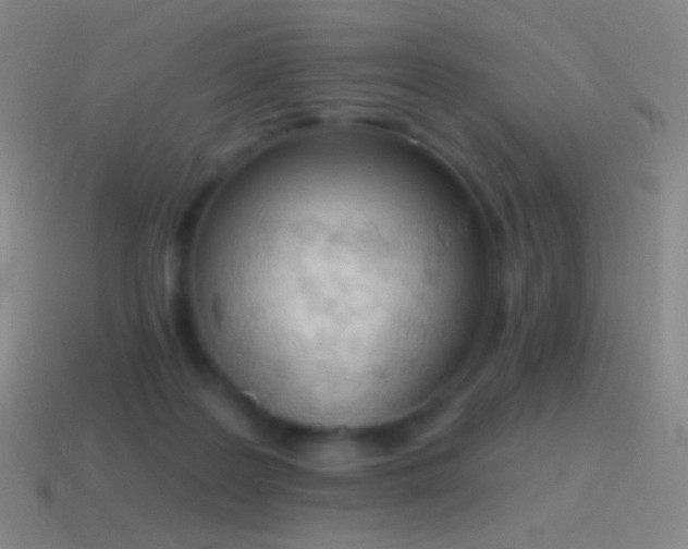 X0000115590219200911101245