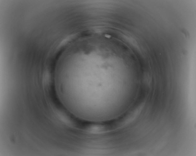 X0000115590220200911101245