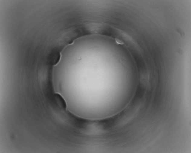 X0000115590221200911101245