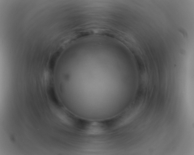 X0000115590222200911101245