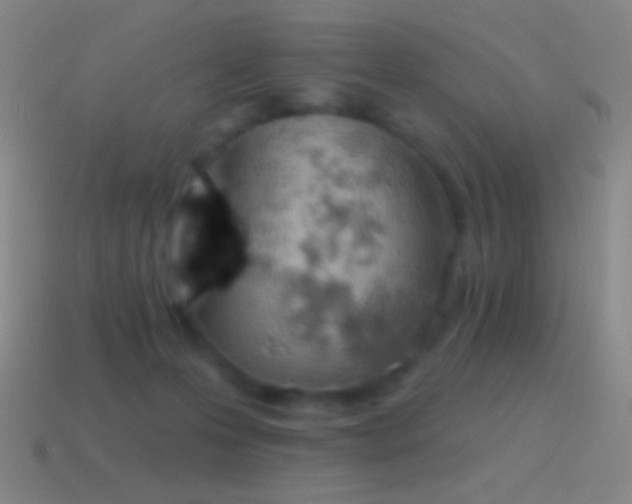 X0000115590223200911101245