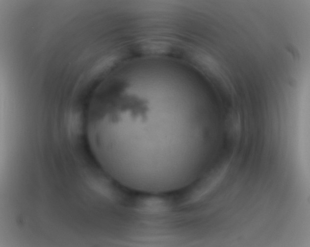 X0000115590224200911101245