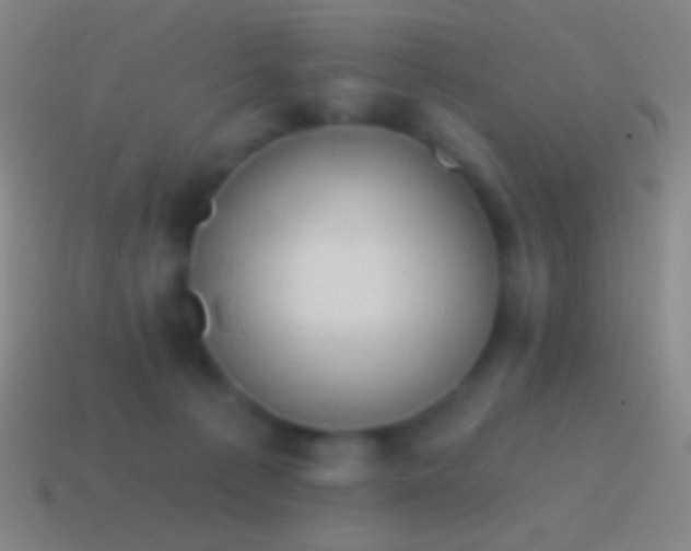 X0000115590225200911101245