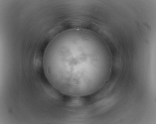 X0000115590226200911101245