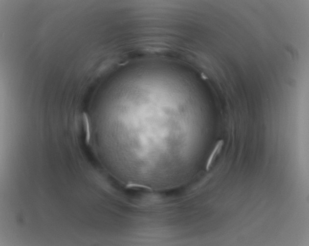 X0000115590227200911101245