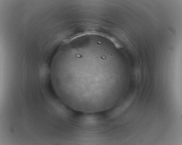 X0000115590228200911101245