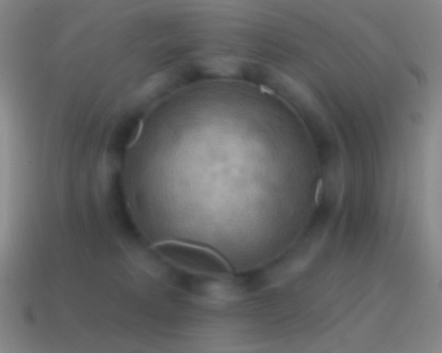 X0000115590229200911101245