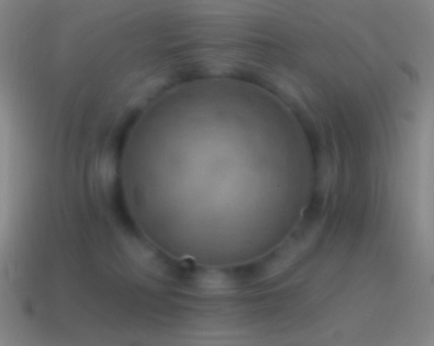 X0000115590230200911101245