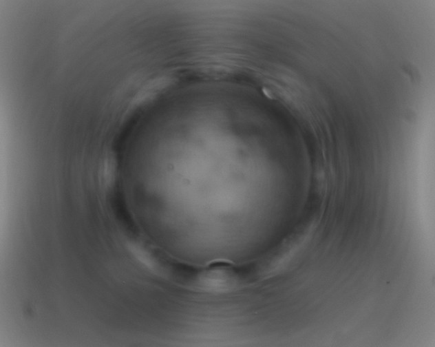 X0000115590231200911101245