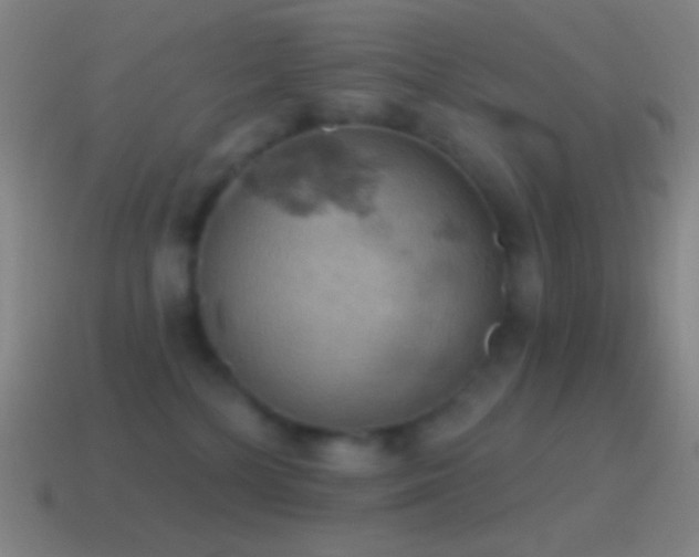 X0000115590232200911101245