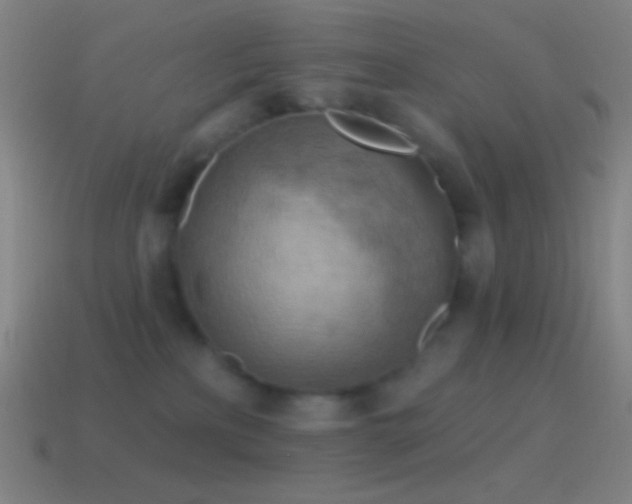 X0000115590233200911101245