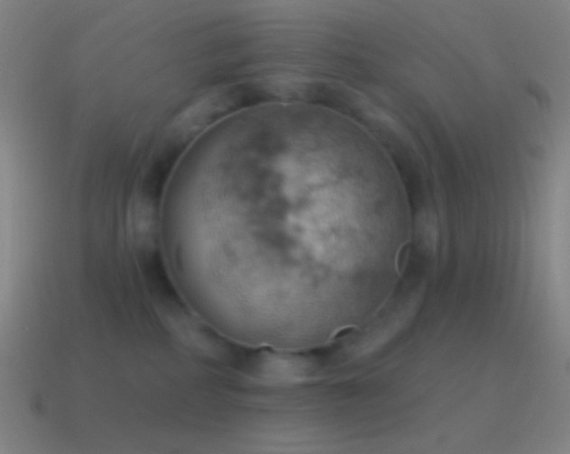 X0000115590234200911101245