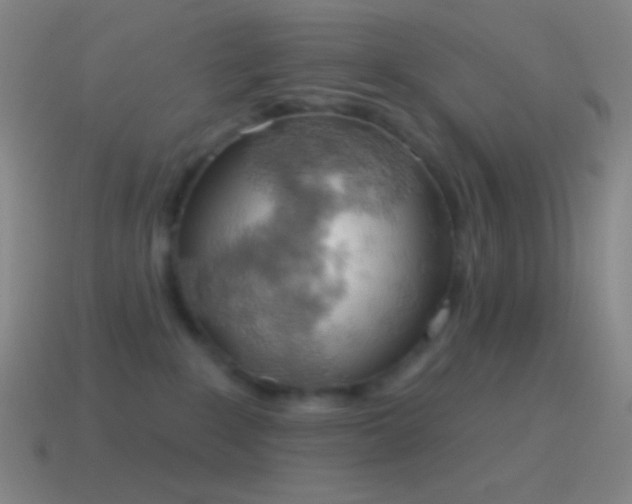 X0000115590235200911101245