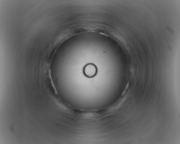 X0000115590237200911101245