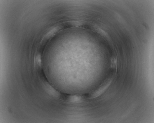 X0000115590238200911101245