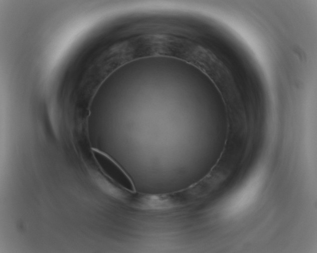 X0000115590239200911101245