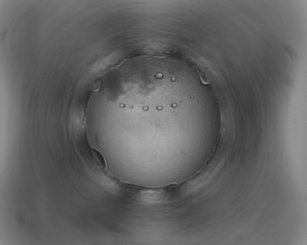 X0000115590240200911101245