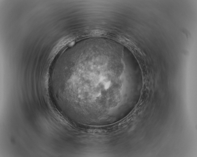 X0000115590242200911101244